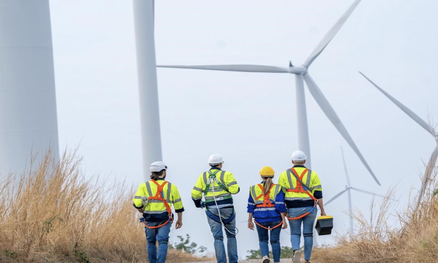 Four workers in safety gear, fresh from a training session, walk toward wind turbines in a field.